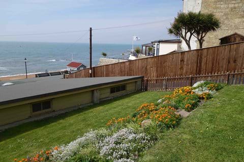 Our south facing garden